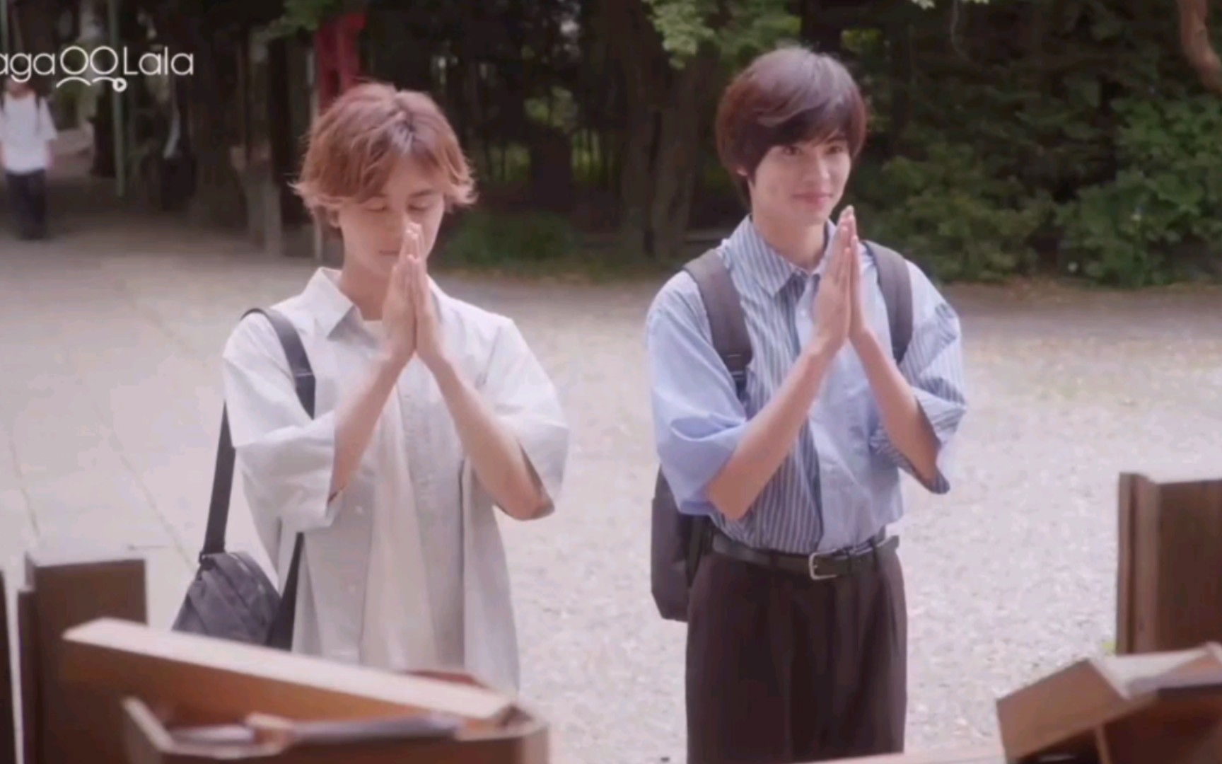 【reaction】《恋恋洗衣店》ep11cut2 同睡一间房,要跨过那条线吗?