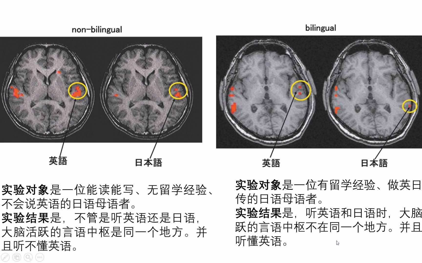 外语学习从脑科学解答:为何能读能写,却听不懂、不会说外语哔哩哔哩bilibili