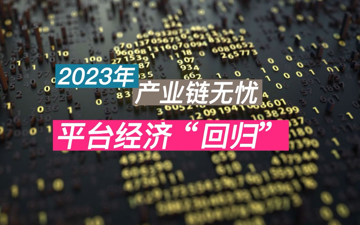 替代“中国制造”没那么简单 去垄断的“平台经济” 在出发 2023展望国内篇(5)哔哩哔哩bilibili