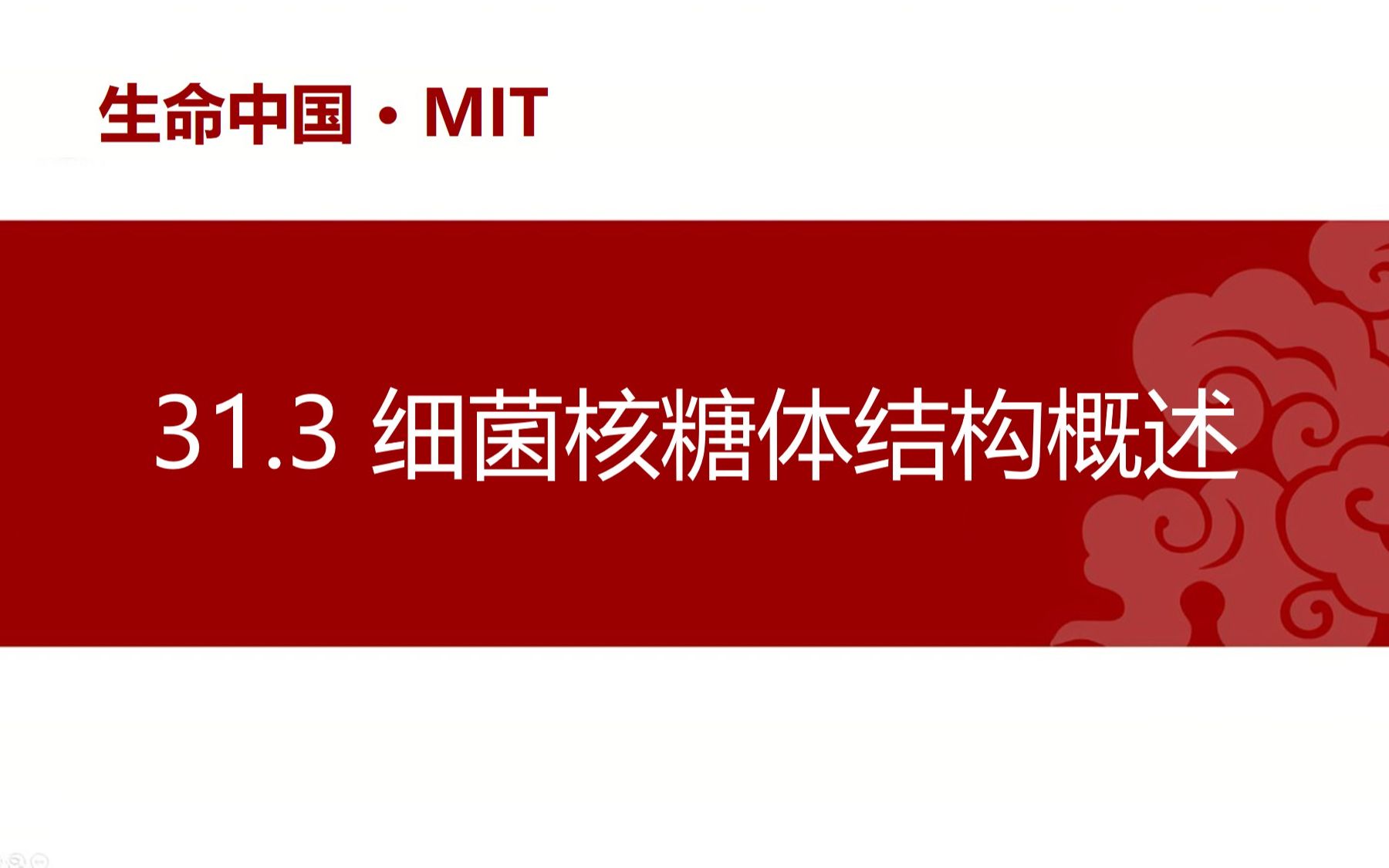 【分子生物学】31.3 细菌核糖体结构概述哔哩哔哩bilibili