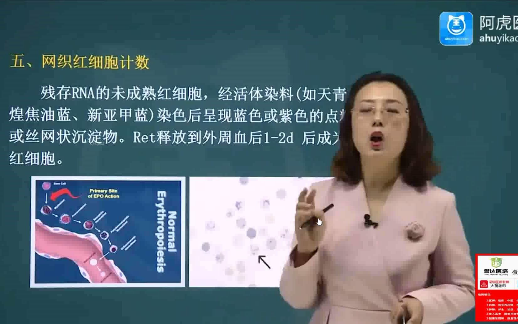 2023高级职称临床医学检验临床基础检验技术主任技师考前冲刺课红细胞平均指数、网织红细胞计数2哔哩哔哩bilibili