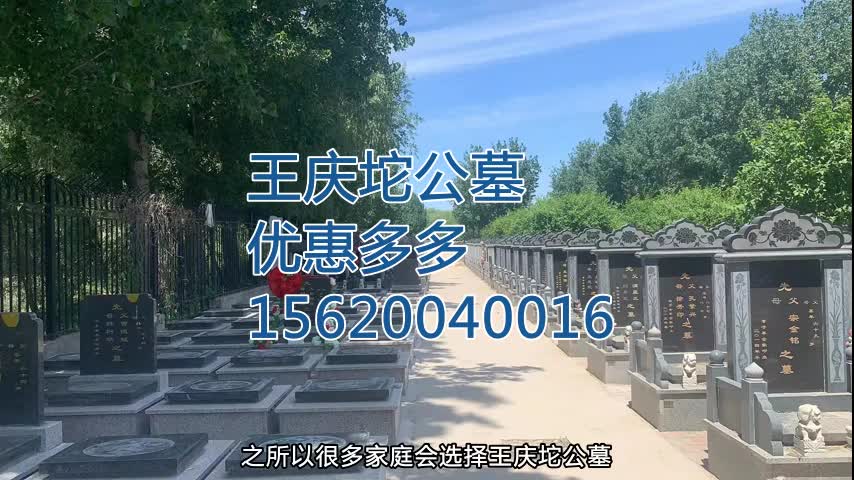 年前一波活动来袭 #天津武清王庆坨公墓哔哩哔哩bilibili