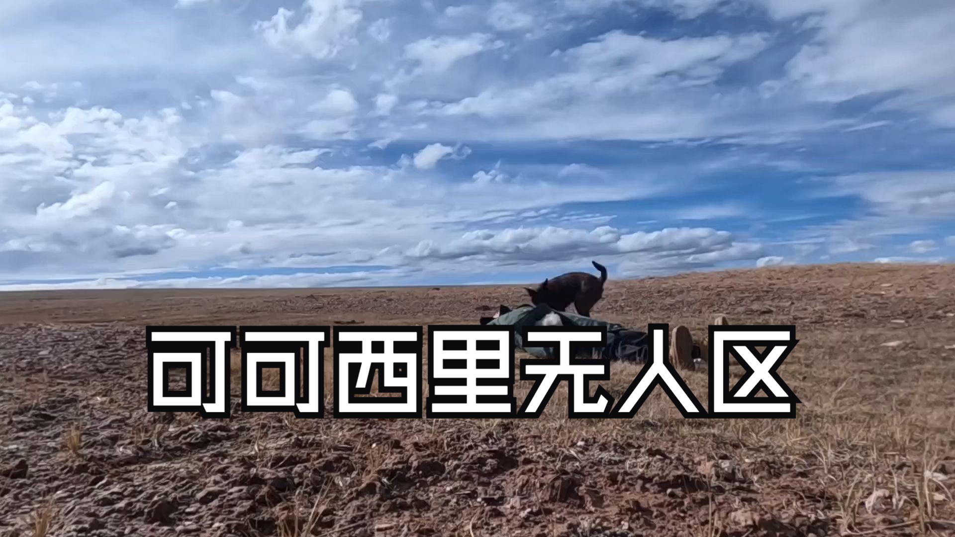 50岁小伙在可可西里无人区发现动物的身体了吓坏了