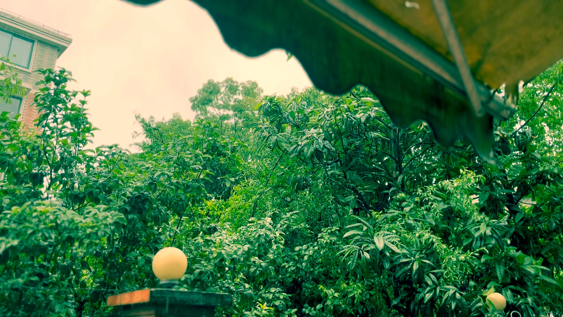 下雨天,站在屋簷下聽雨聲～_嗶哩嗶哩_bilibili