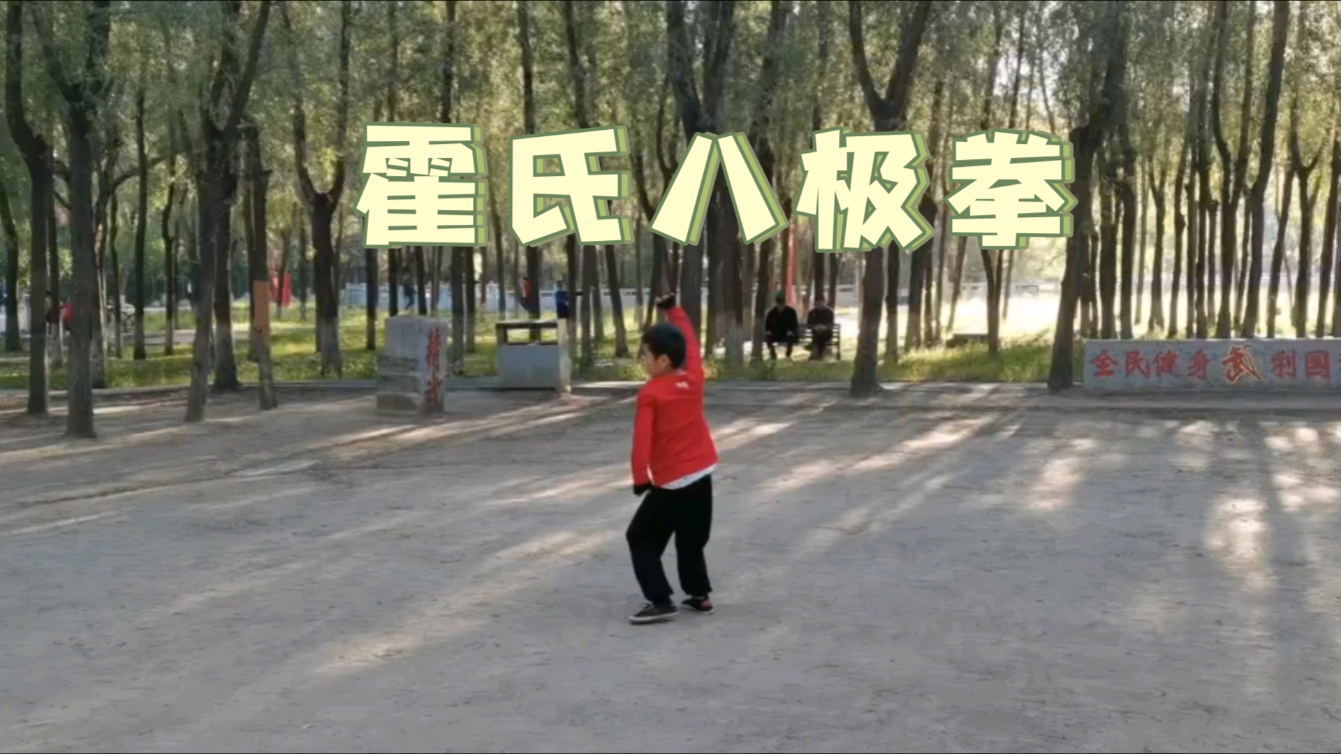 少年英雄系列之霍氏八极拳.