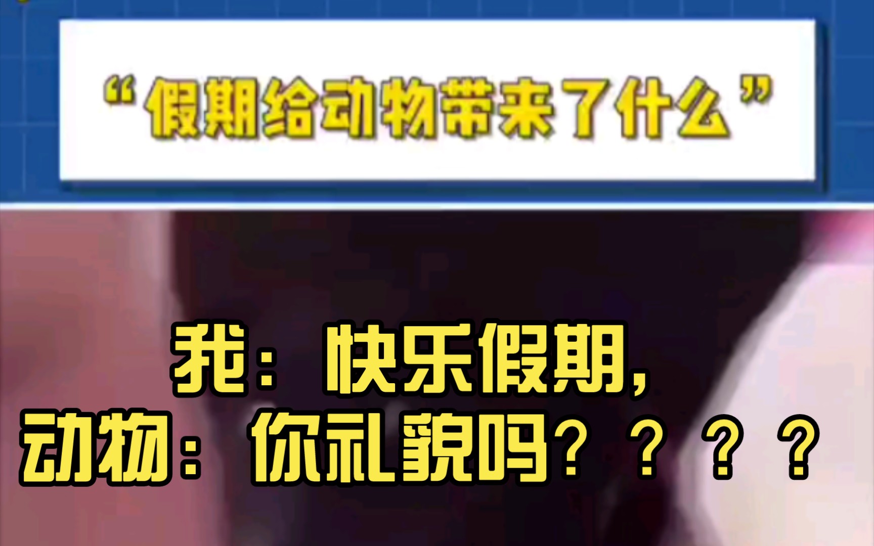 [图]我：快乐假期，动物：你礼貌吗？？？？