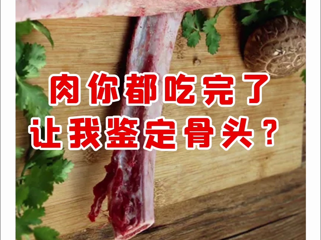 肉你都吃完了,让我鉴定骨头?【微拍堂】