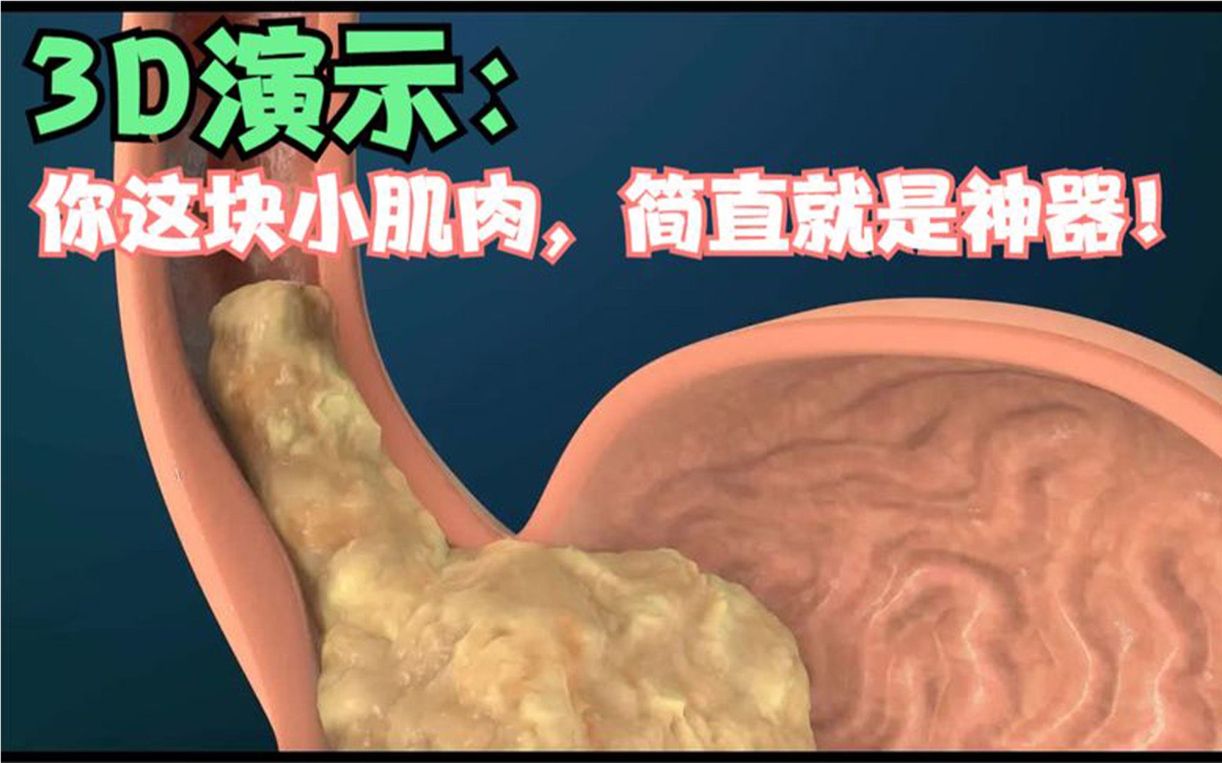 3D演示:你这块小肌肉的存在,防止嘴里整天有呕吐味.简直神器了哔哩哔哩bilibili