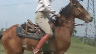 美女马术寸衫棕色马靴狠骑