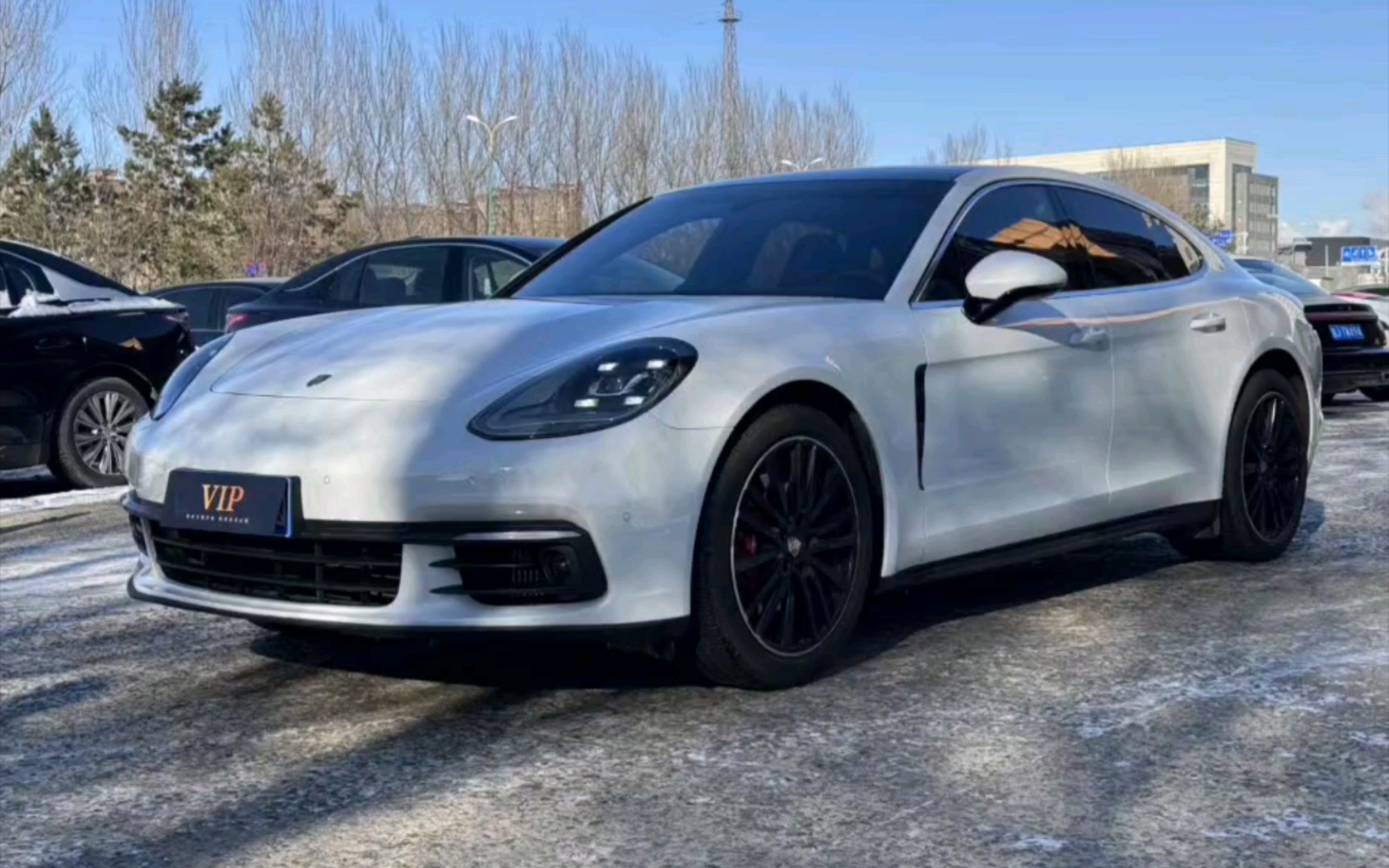 2017年 2017款 帕拉梅拉 4s 2.