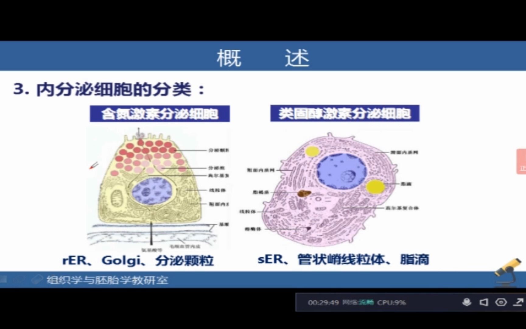 内分泌系统概述哔哩哔哩bilibili