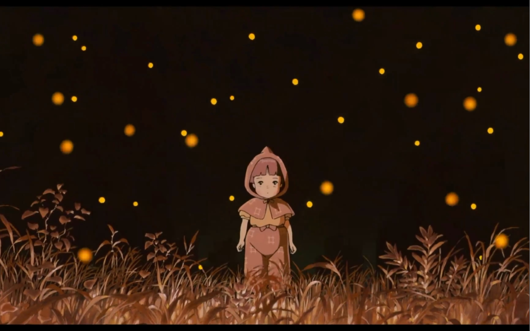 【电影混剪】吉卜力动画电影美学 bgm久石让