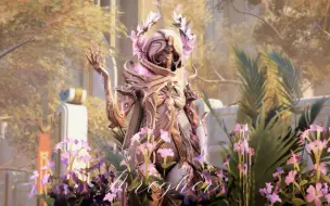 Download Video: 【WARFRAME】花环当然要配花之舞啦