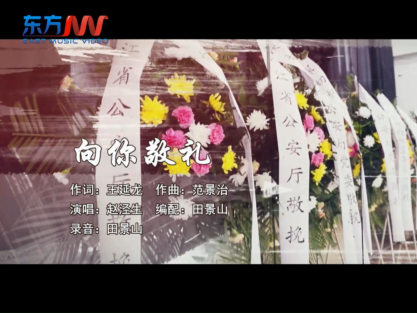 向你敬礼(王延龙作词,范景治作曲,赵泾生演唱)●我想为你献首歌