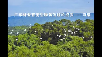 广东林业有害生物防治组织资质——丙级