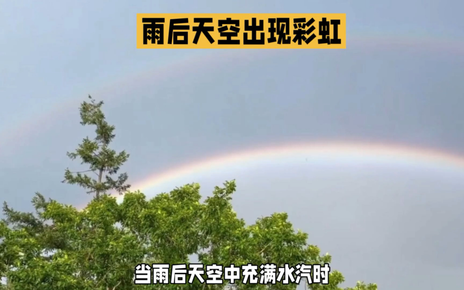 为什么会有彩虹