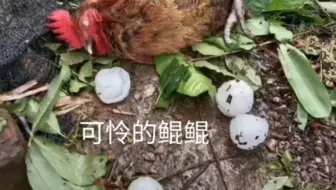 广州冰雹现状