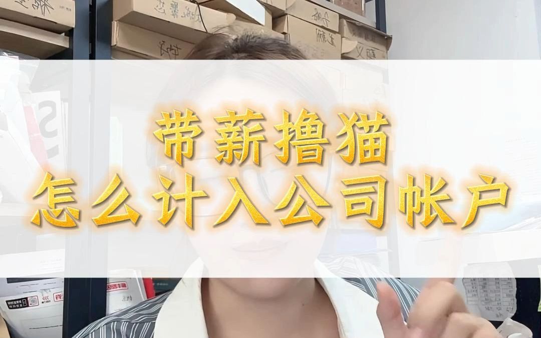 带薪撸猫,怎么计入公司帐户?哔哩哔哩bilibili