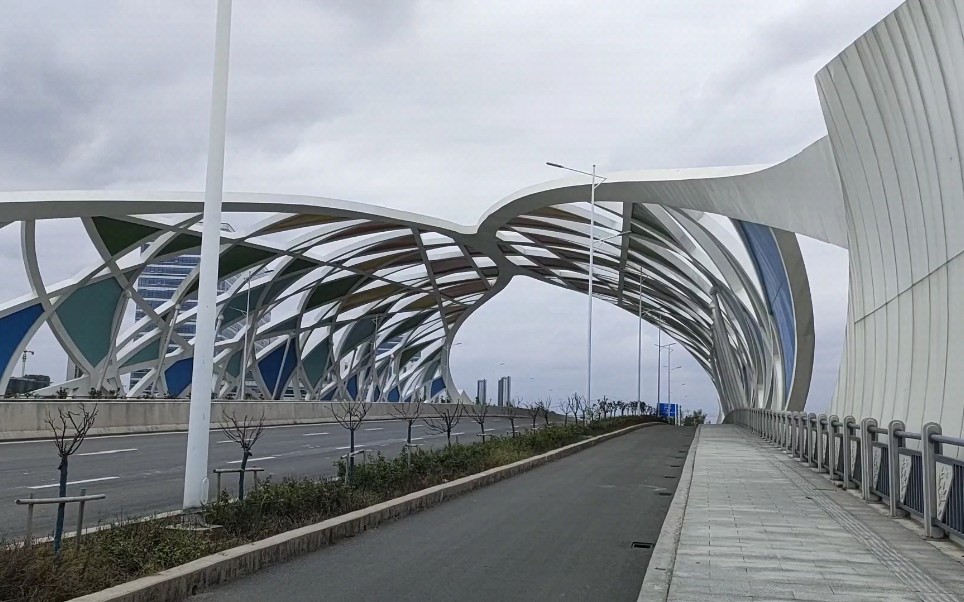 慈溪杭州湾a fancy bridge——神奇的桥