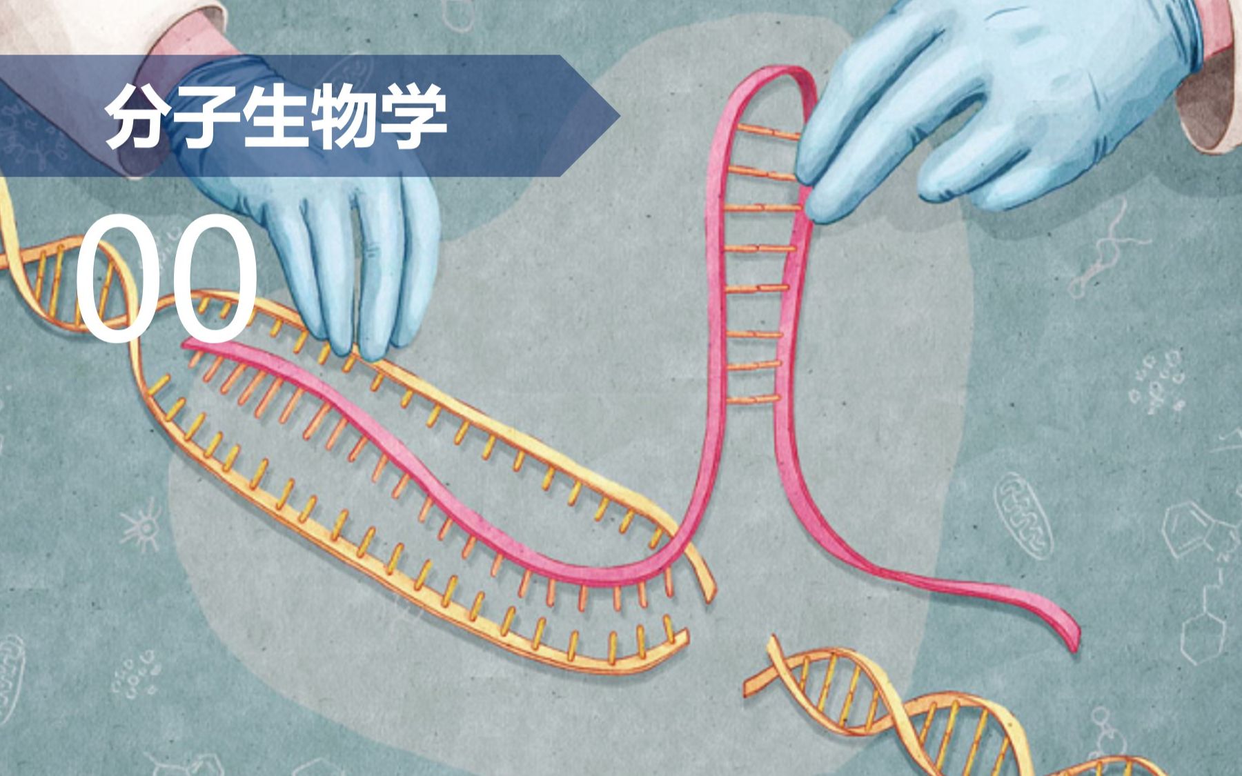 [图]【分子】00 分子生物学技术——CRISPR简介