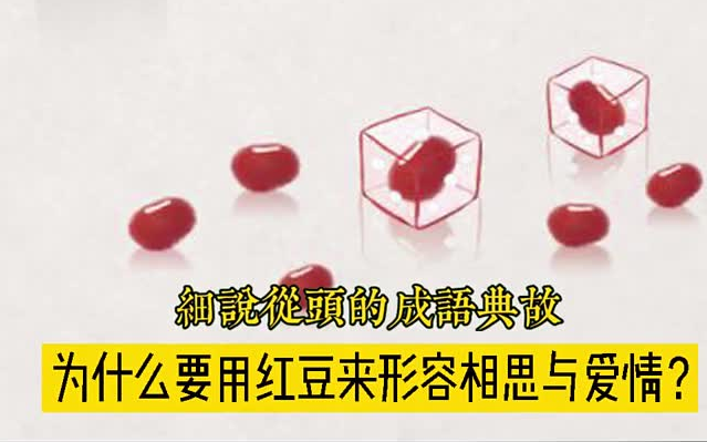 [图]《相思》：这颗红豆有毒，却是王维诗里的红豆。 历史 传统文化 古诗词