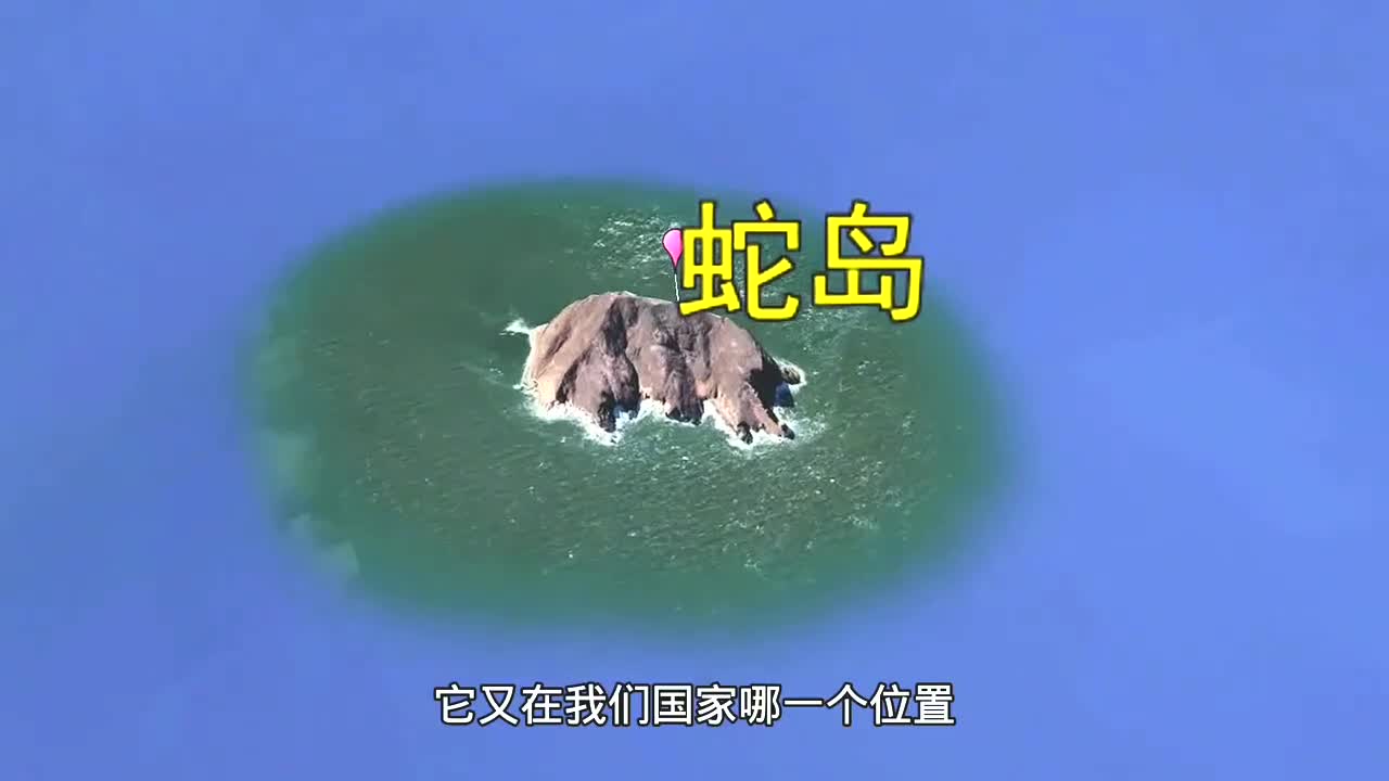 中国蛇岛 恐怖图片
