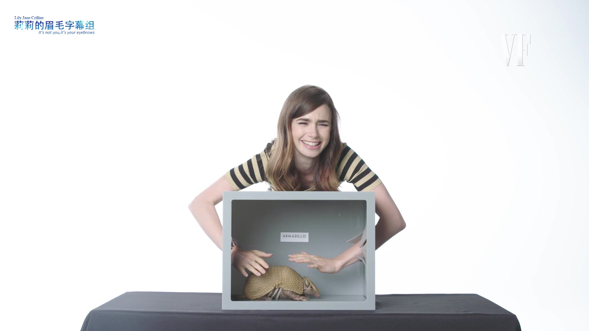 莉莉的眉毛字幕组lilycollins莉莉柯林斯挑战恐怖箱可爱炸了