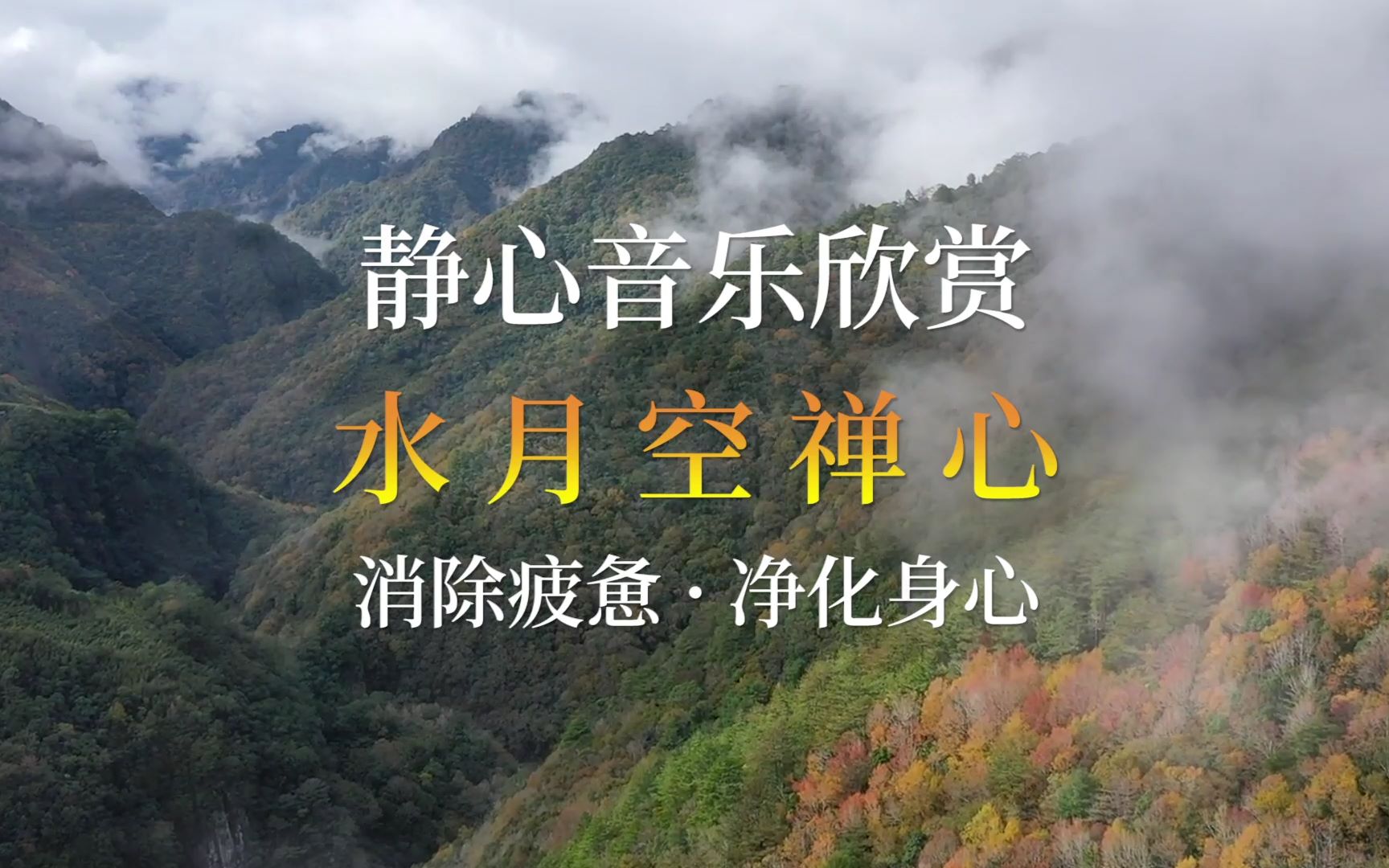 水月空禅心,戴上耳机轻闭双眼,让音乐涤荡心灵,消除疲惫,在大自然中