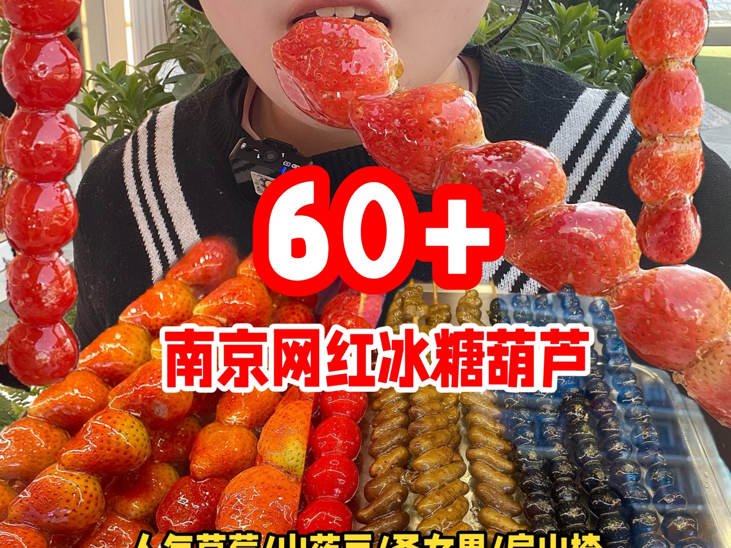 花60元在南京炫6根冰糖葫芦有多过瘾!哔哩哔哩bilibili