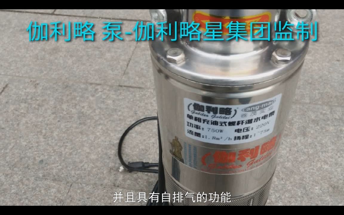 单相螺杆自吸泵