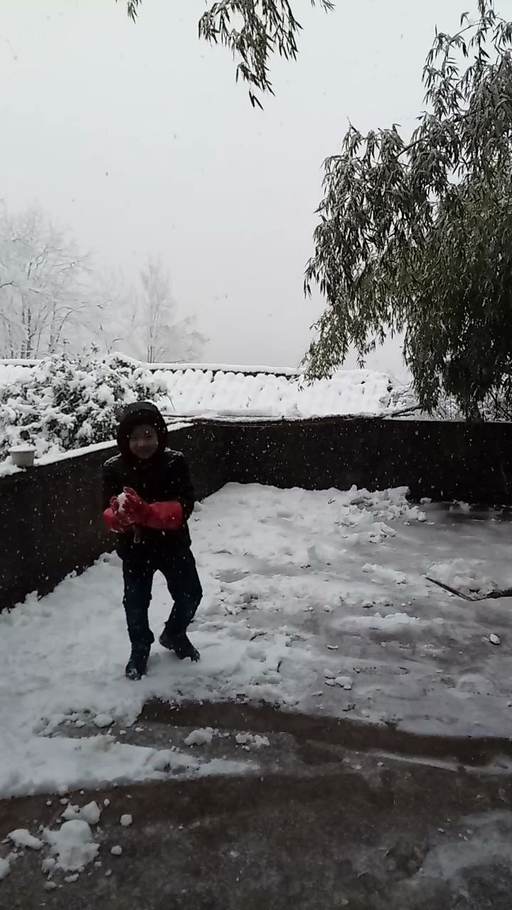 [图]“六月飞雪”