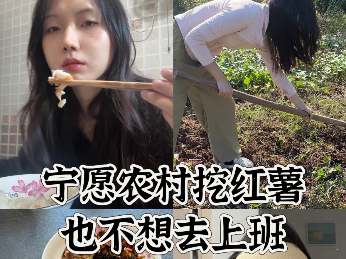 Vlog | 25岁不上班住在小镇上一个月花多少钱哔哩哔哩bilibili