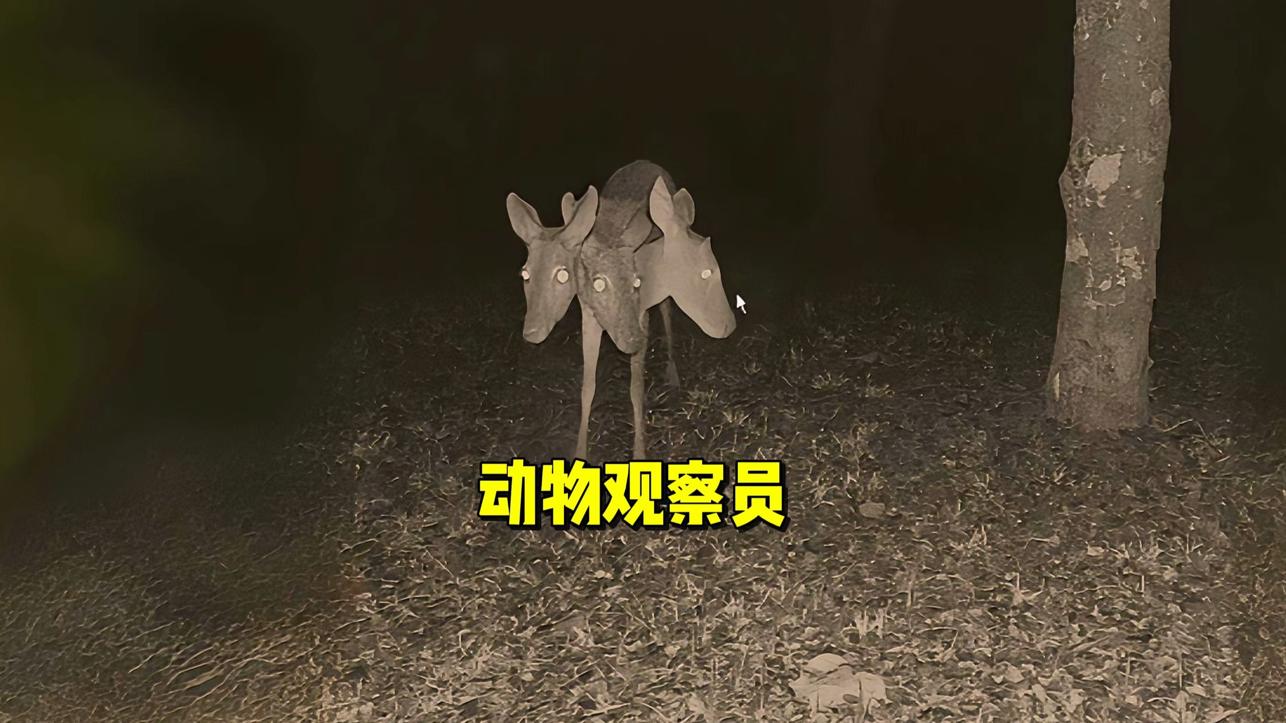 《动物观察员》，居然拍到了变异生物！