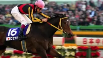 赛马 特别周之女 Cesario 西沙里奥 05日本橡树大赛 G1 最后600m33 3秒冲刺 哔哩哔哩 Bilibili
