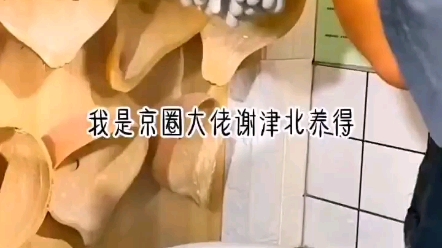 [图]【津念初棠】