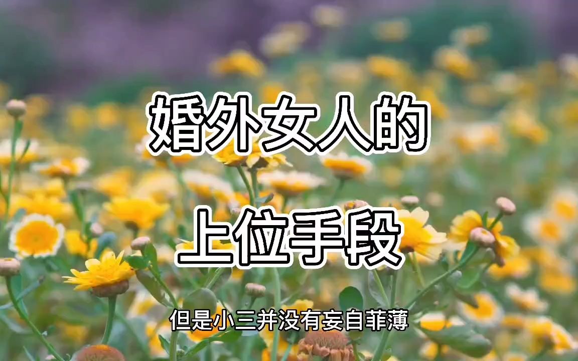 婚外女人的上位手段哔哩哔哩bilibili