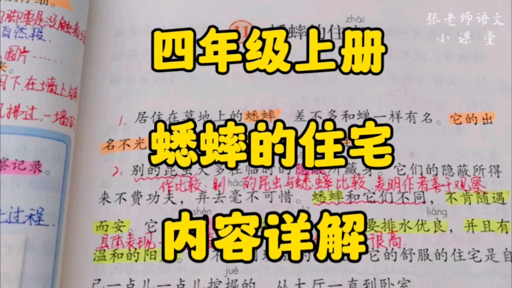 四年级上册:《蟋蟀的住宅》内容详解,它有什么特别之处?为什么说这是一项伟大的工程?哔哩哔哩bilibili