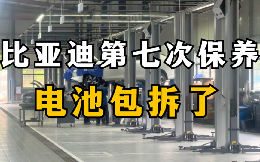 比亚迪的第七次保养安排了更换动力电池的保温棉,全程体验不错,本来只是做纯电保养的,还看了海豹06试驾了海狮07#比亚迪 #海狮07 #海豹06 #比亚迪...