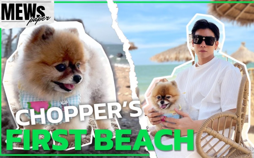 【mew中字】230518 chopper九年狗生海边初体验 其实并不感兴趣