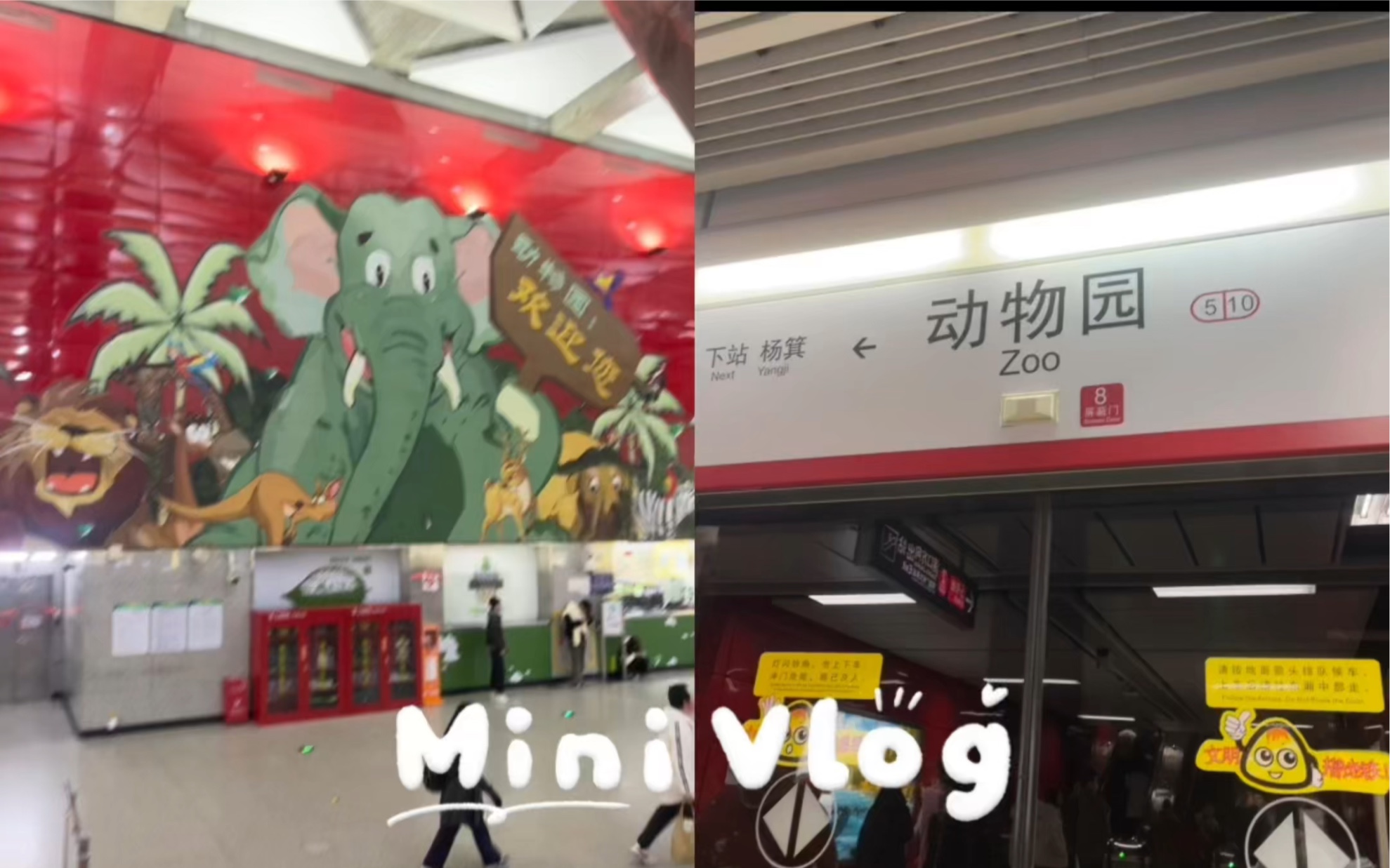 广州动物园 可爱的小动物们