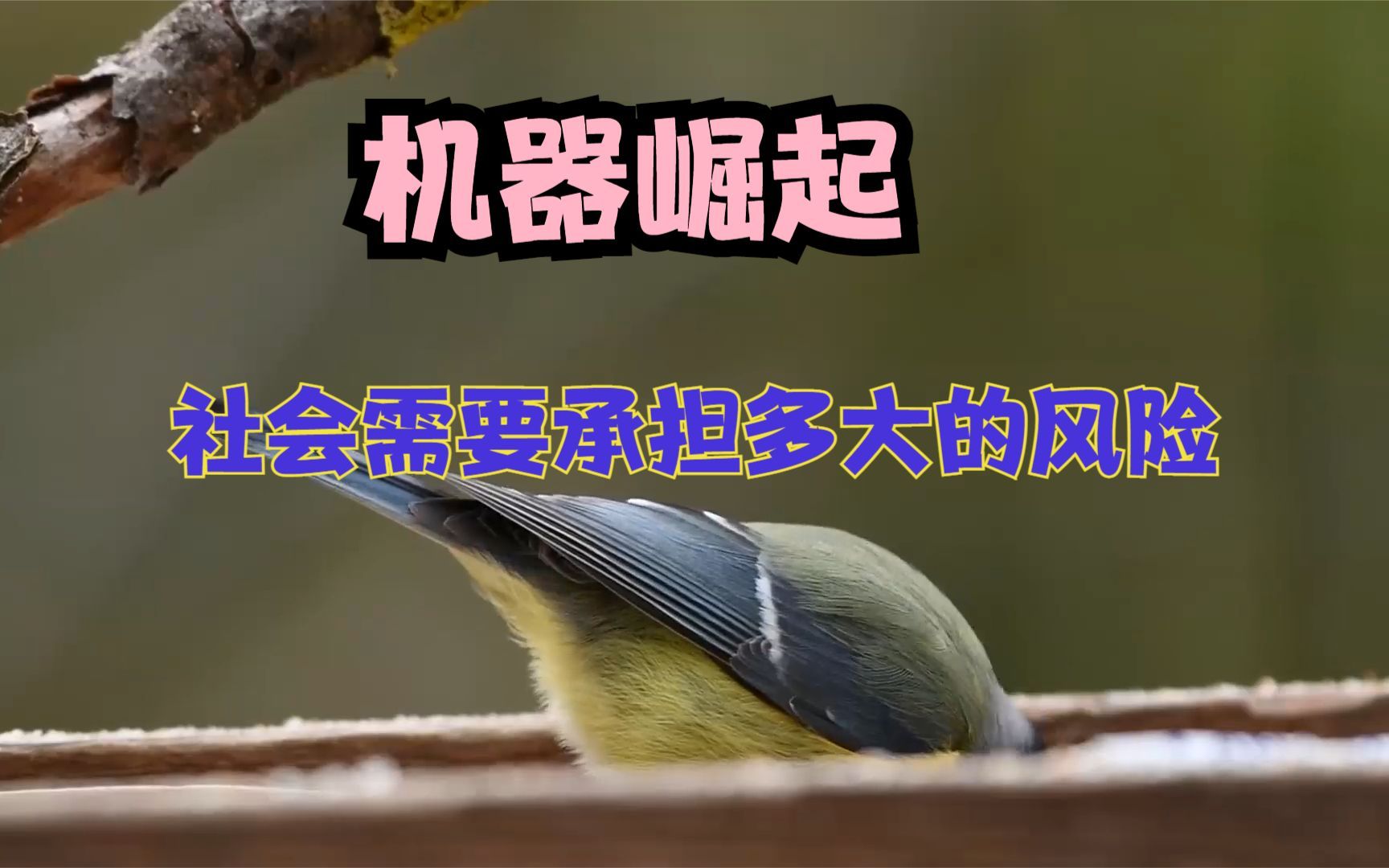 [图]《机器崛起》智能的机器，我们发达的社会需要承担多大的风险