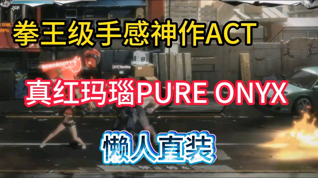 [图]真红玛瑙-PURE ONYX/拳王级手感神作ACT/中文/附保姆级安装教程解压即玩！！！