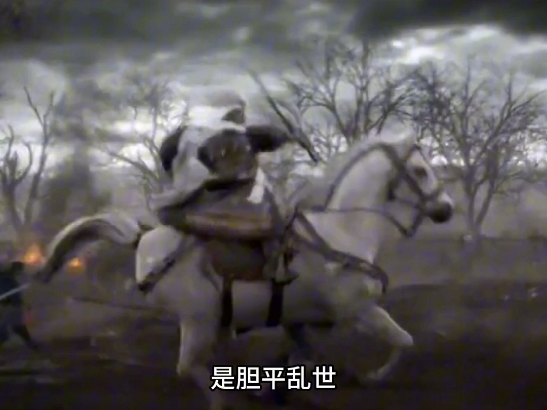 赵子龙单枪匹马救阿斗#赵子龙#率土之滨#率土之滨星推计划