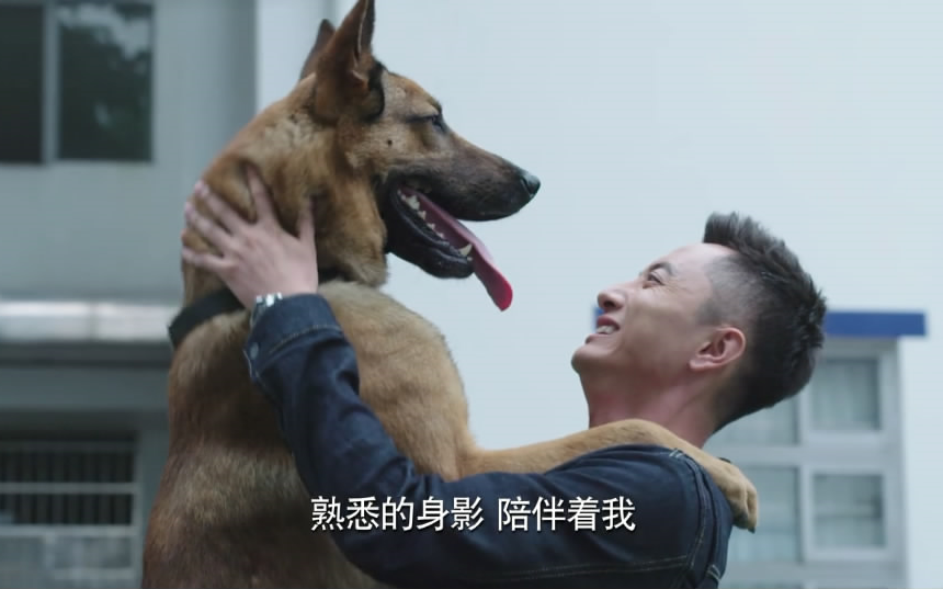 【警犬来啦】主人出院回警局,警犬华哨飞奔向主人,给他个大拥抱!