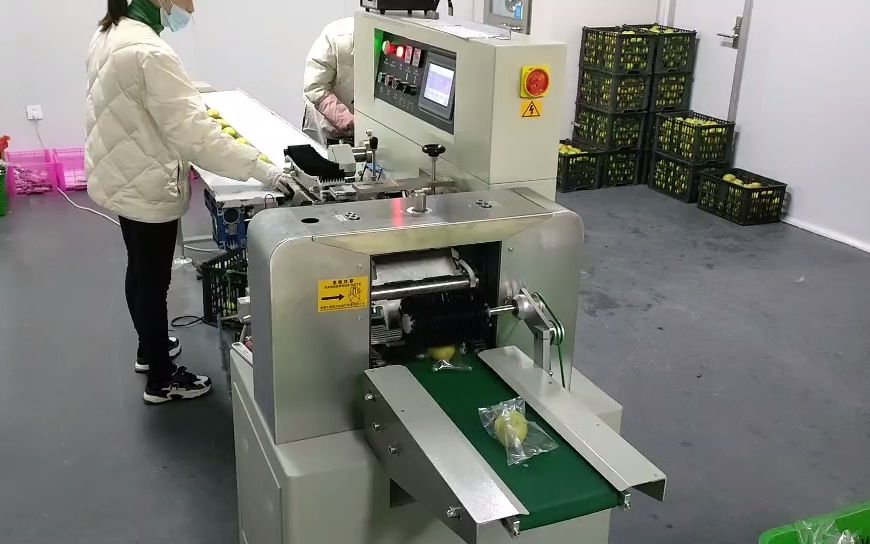 梨包装机 全自动水果包装机 香梨包装机