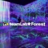 teamLab团队最新展览主题 Forest （森林）将在2020年7月21日于福冈开幕
