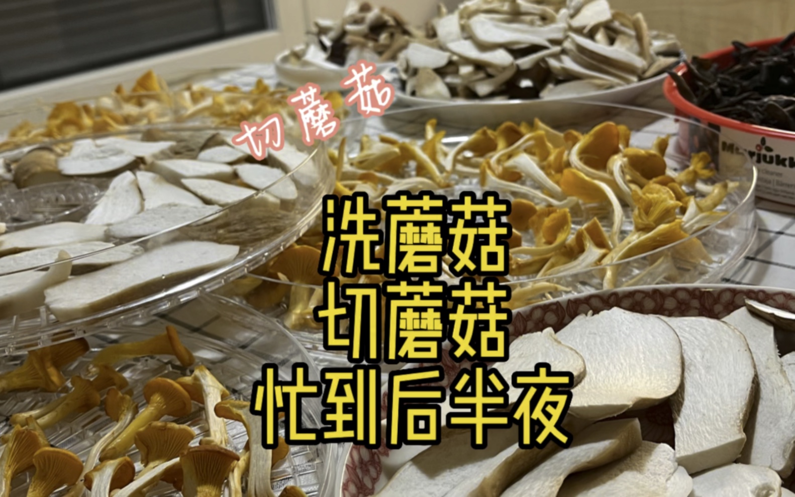 采蘑菇一时爽!请接下句!采菇的欢乐和洗菇的痛苦你们都懂吗?哔哩哔哩bilibili