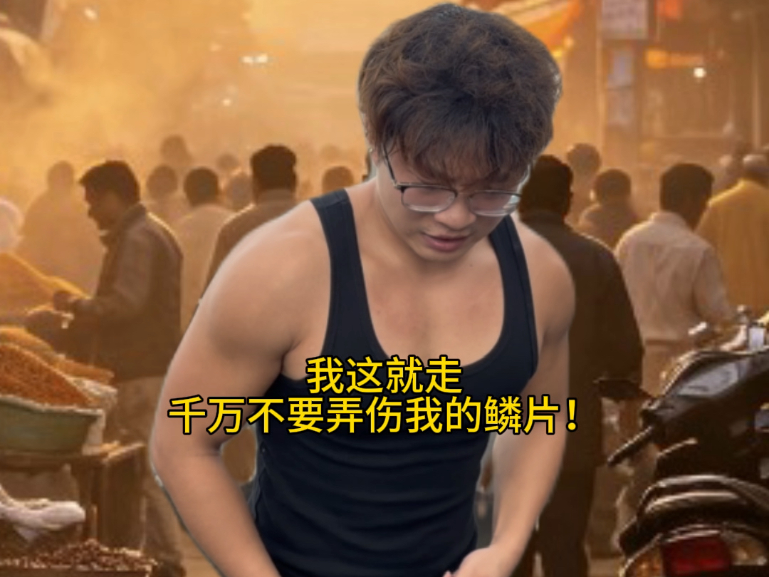 一句话证明你看过成吉思鸡