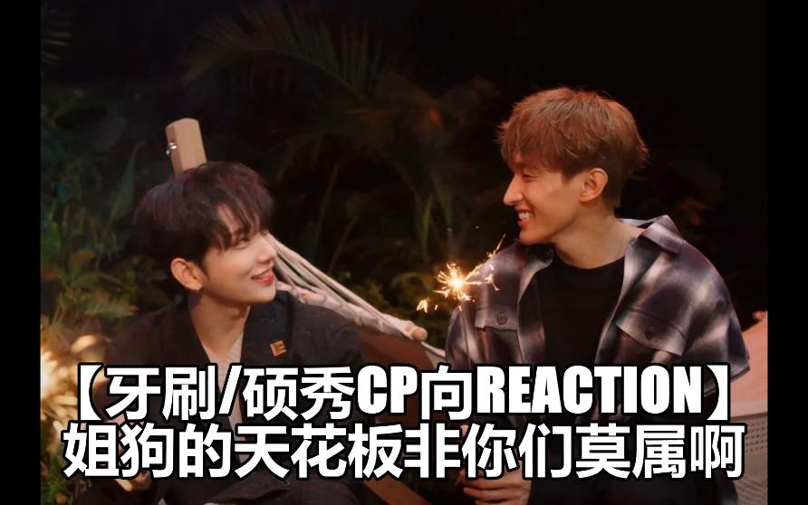 [图]【牙刷/硕秀CP向Reaction】姐狗的天花板