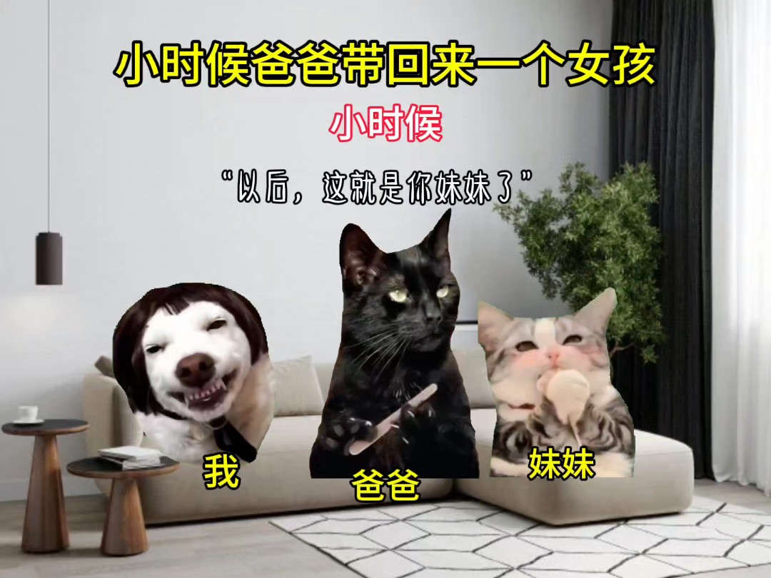 猫咪表情包:小时候爸爸带回来的女孩哔哩哔哩bilibili